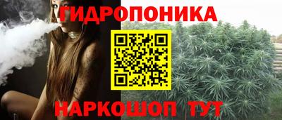 ешки Лесосибирск