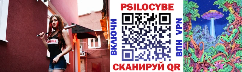 наркотики  Барабинск  Псилоцибиновые грибы Cubensis 