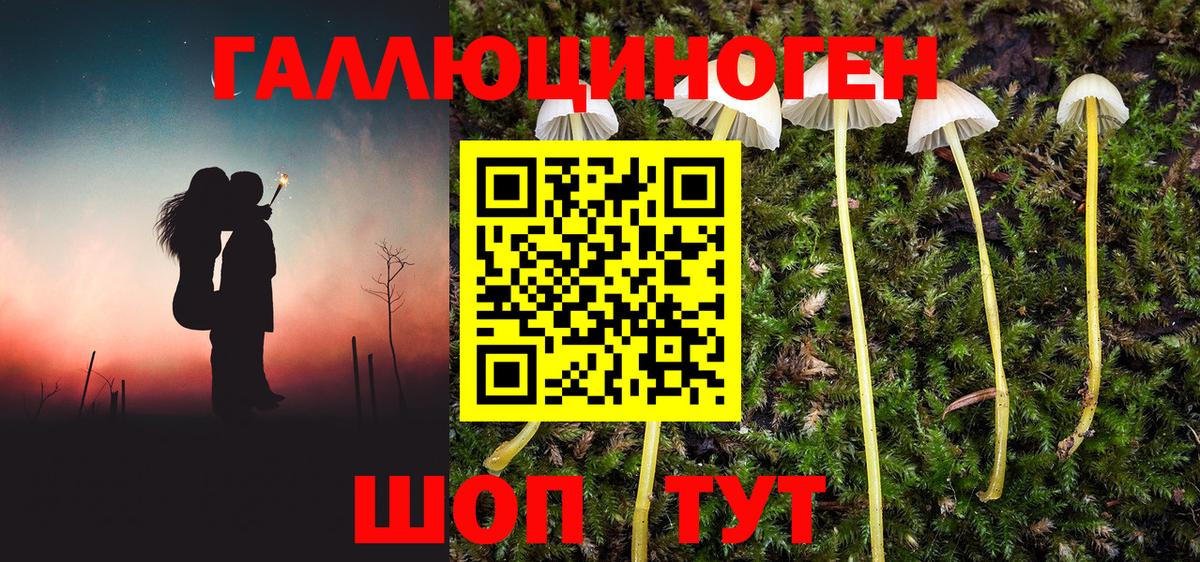 что такое   Вход с VPN  Барабинск  Псилоцибиновые грибы MAGIC MUSHROOMS 
